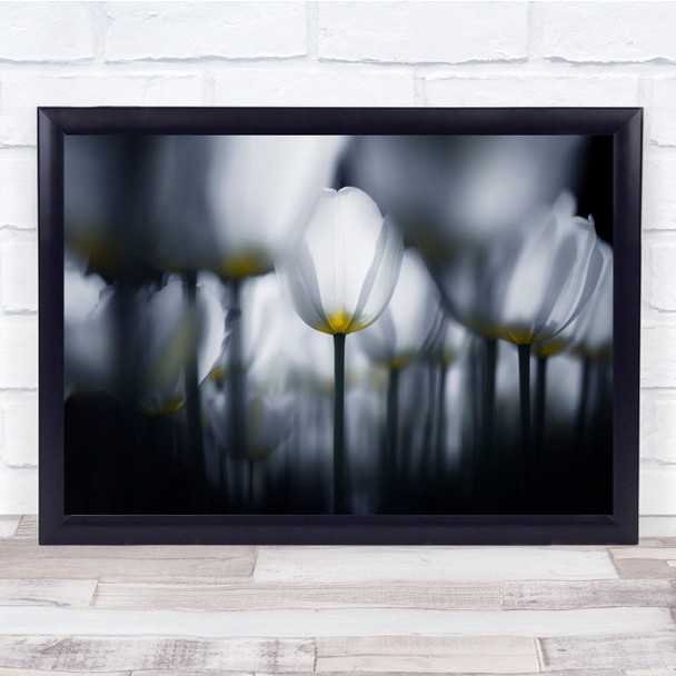 White In Tulip Tulips Flower Floral Flora Macro Still Life Wall Art Print