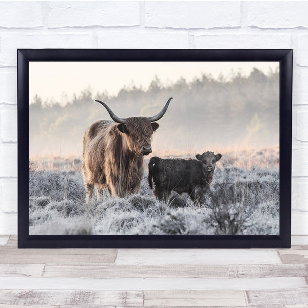 Highlander And Calf Highland Cow Baby Cute Animal Animals Wall Art Print