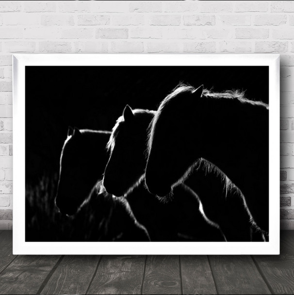 Horses Baw Camargue France Dark Low Key Low-Key Backlight Wall Art Print