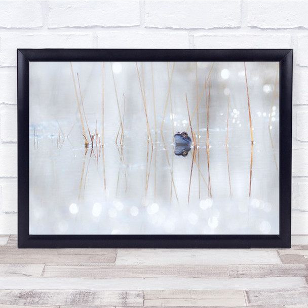 Love Is In The Air Frog Moor Nature Bleu Water Reflection Wall Art Print