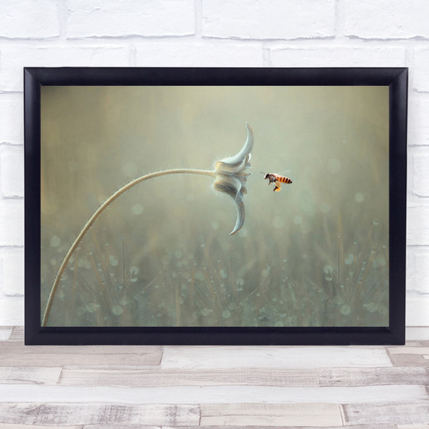 On The Way Macro Bee Flower Flora Nature Drop Drops Water Wall Art Print