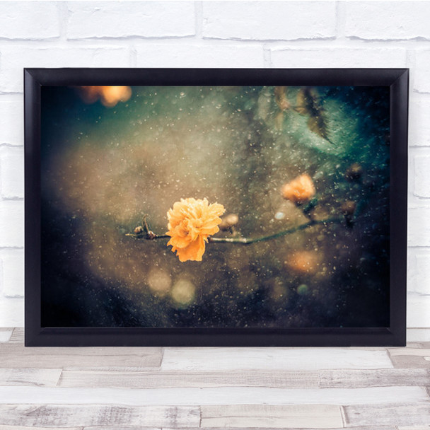 Spring Flower Closeup Bokeh Yellow Snow Snowfall Snowing Wall Art Print