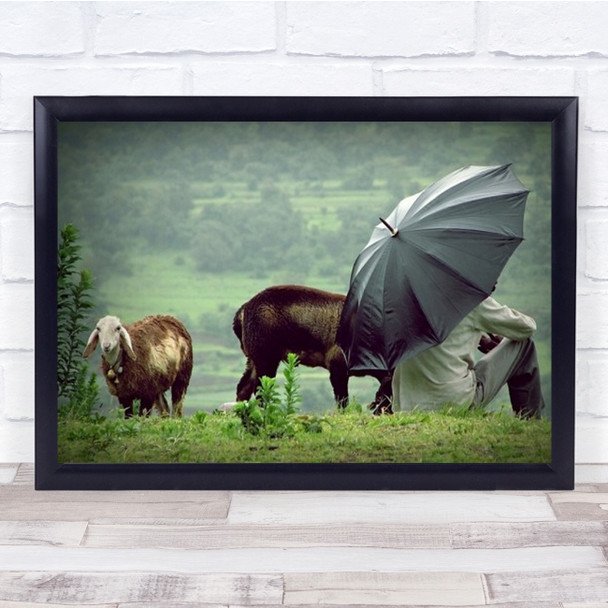 Lavasa Rain India Monsoon Sheep Sitting Person Umbrella Wall Art Print