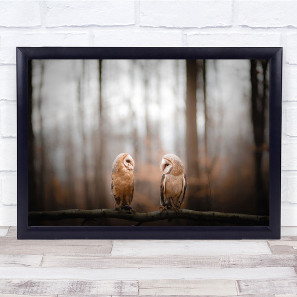 Love Is In The Air Birds Autumn Look Owls Bird Barn Owl Wall Art Print