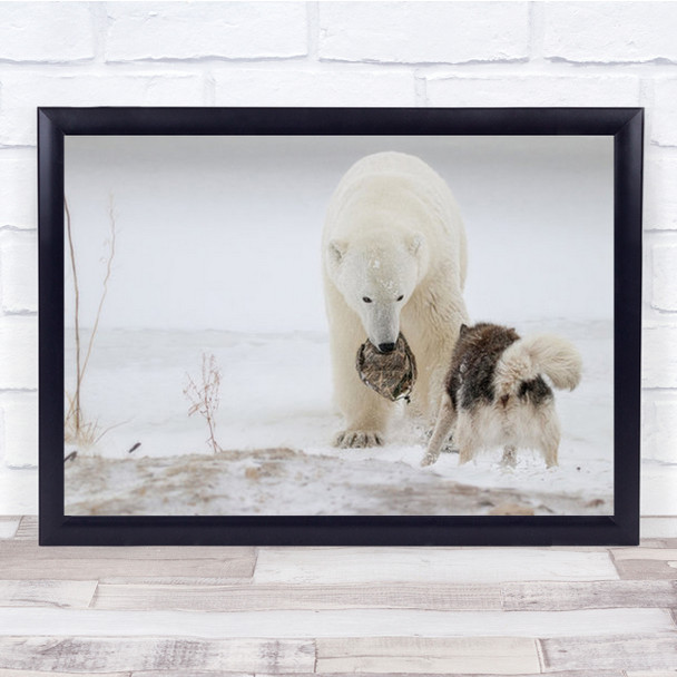 Play With Me Dog Polar Bear Animal Animals Husky Winter Wall Art Print