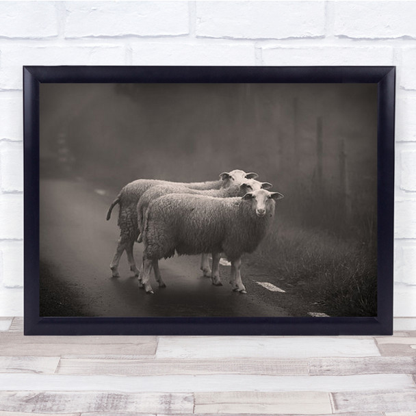 Lost On The Way Sheep Three Road Fog Morning Mist Haze Wall Art Print