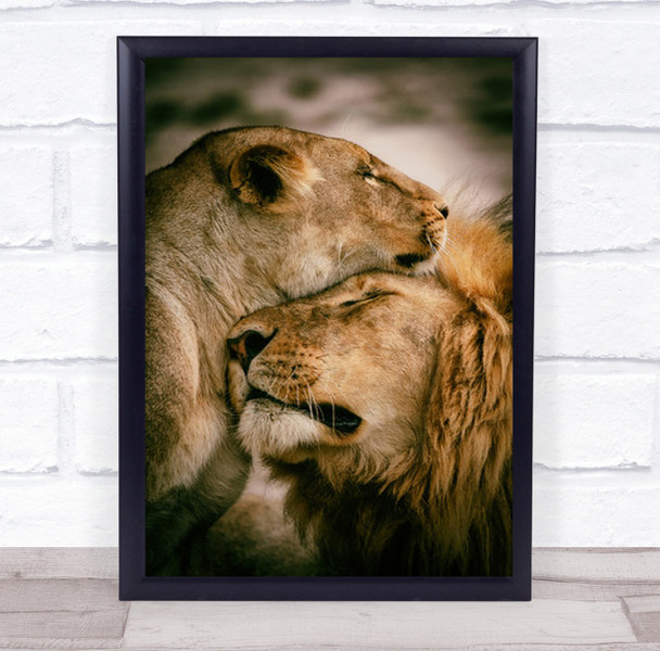 What Is Love Affection Hug Embrace Feline Lion Lioness Wall Art Print