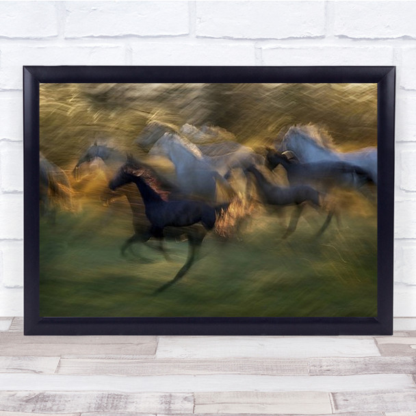 Fiery Gallop Lipicanci Horse Horses Action Speed Icm Wall Art Print