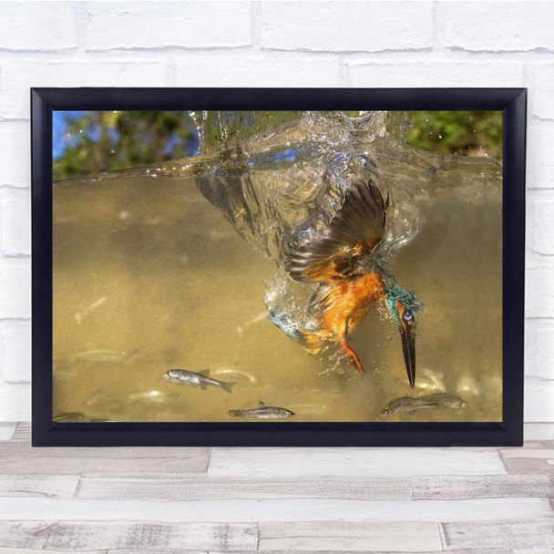 The Last Millimetre Wildlife Wild Animal Bird Nature Wall Art Print