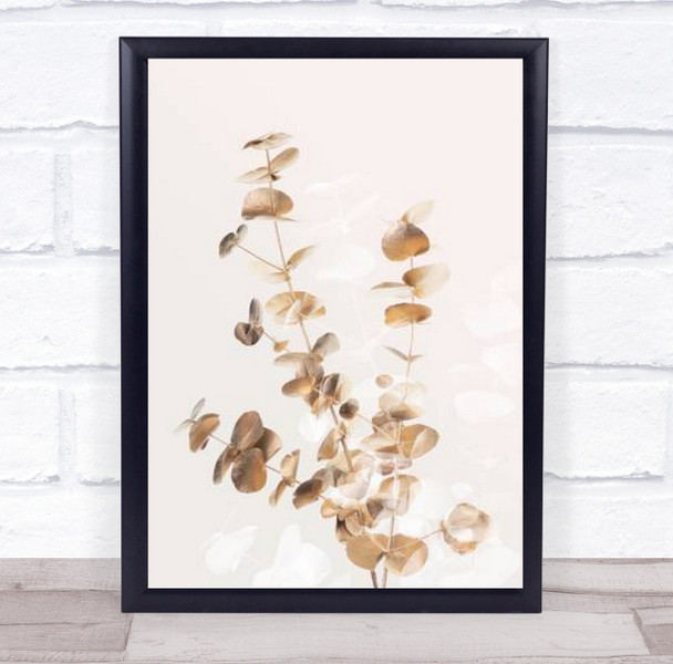 Eucalyptus Creative Gold 03 Plant Botanical Studio Wall Art Print