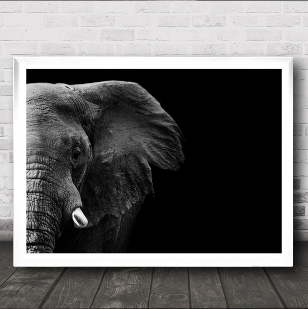 Elephant Animals Africa B&W Dark Low Key Low-Key Wall Art Print