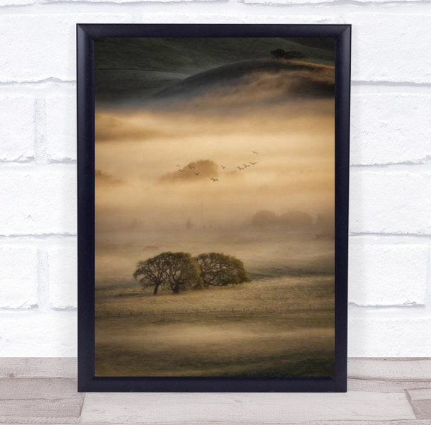 Morning Fog Tree Mist Haze Trees Foggy Sunrise Wall Art Print