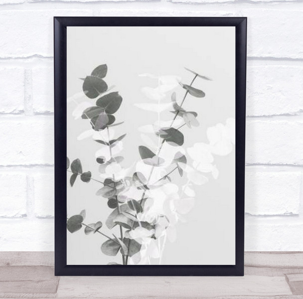 Eucalyptus Creative 08 Plant Botanical Studio Wall Art Print