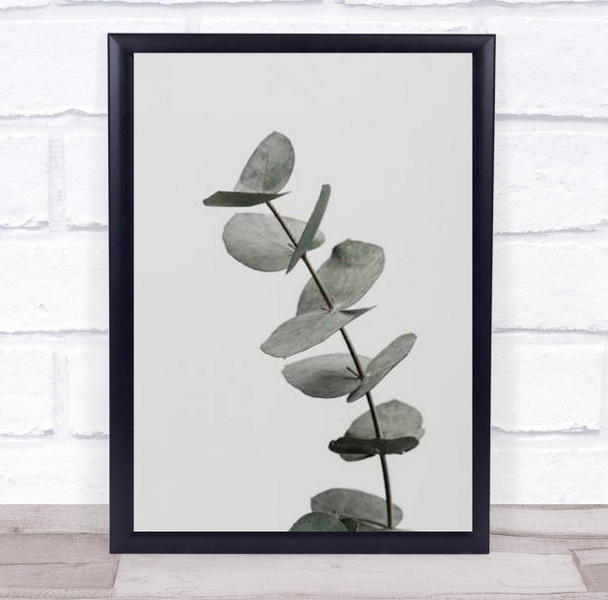 Eucalyptus Natural 06 Botanical Plant Studio Wall Art Print