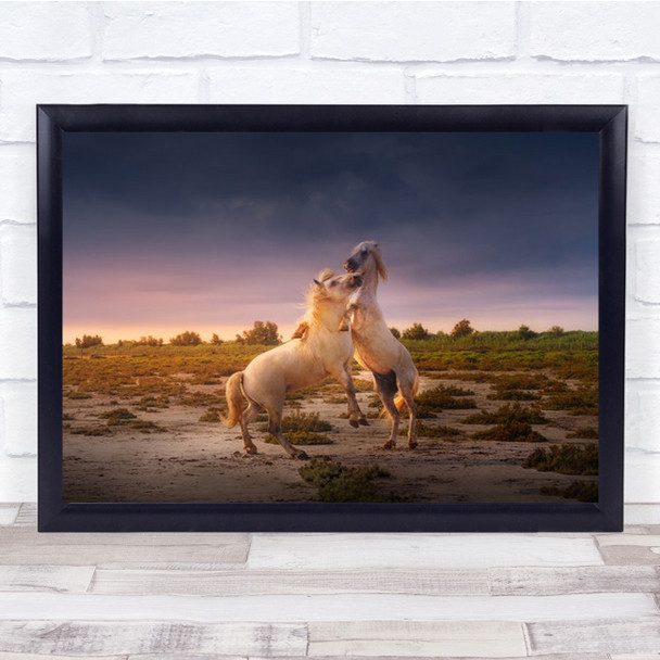 France Camargue Horses Dancing Action Summer Wall Art Print