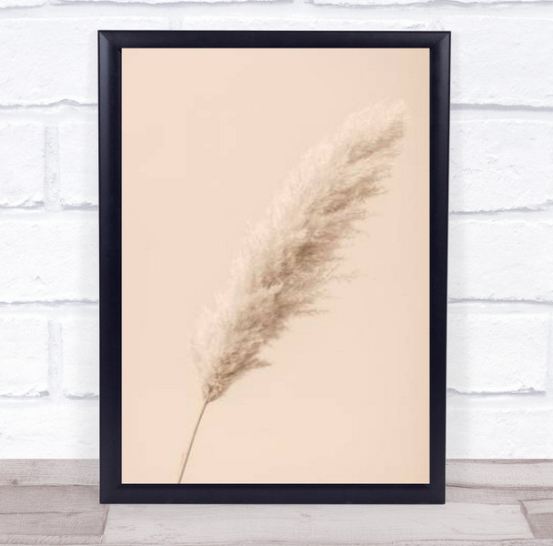 Pampas Grass Begie 14 Dried Botanical Studio Wall Art Print