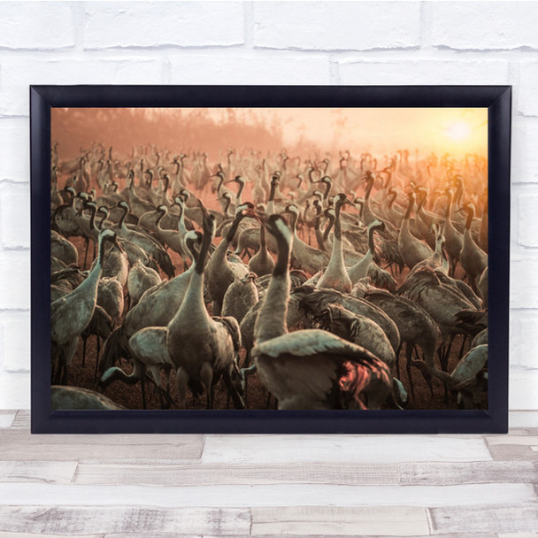 The Free Army Large Flock Of Birds In Sunset Wall Art Print