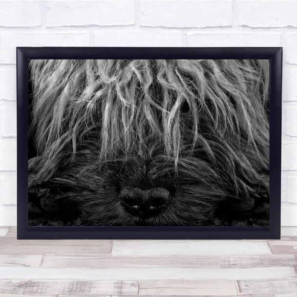 Animal Animals Dog Fur Furry Nose Face B&W Wall Art Print