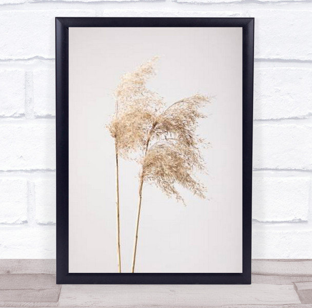 Reed Grass Grey 02 Dried Botanical Studio Wall Art Print