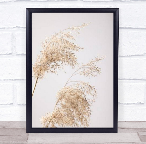 Reed Grass Grey 06 Dried Botanical Studio Wall Art Print