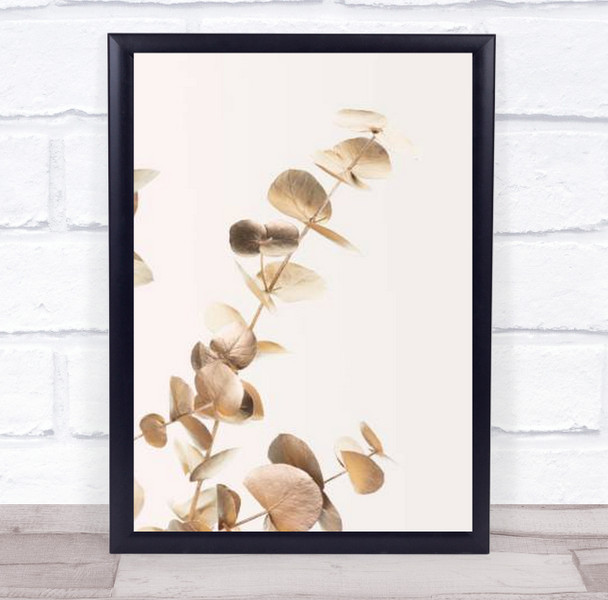 Eucalyptus Gold No 03 Botanical Studio Wall Art Print