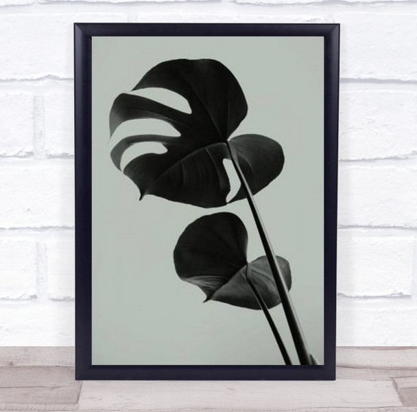 Monstera Teal 01 Studio Botanical Leaf Wall Art Print