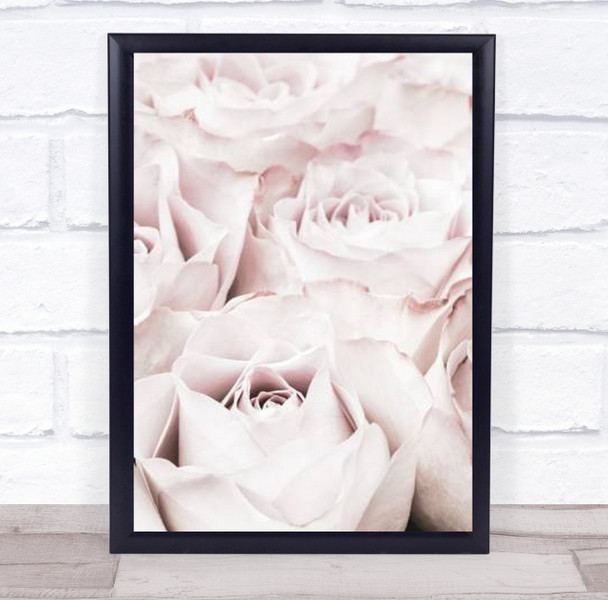 Pink Roses No 04 Rose Flower Studio Wall Art Print