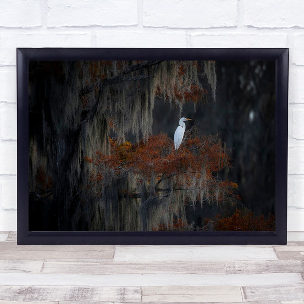 Tranquilness White Bird In Red Tree Wall Art Print