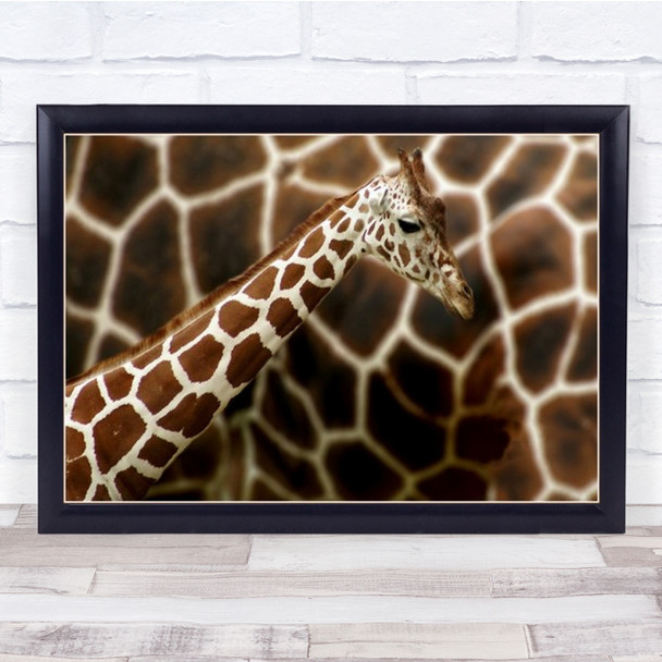 Giraffe In Front Of Mum Composing Wall Art Print