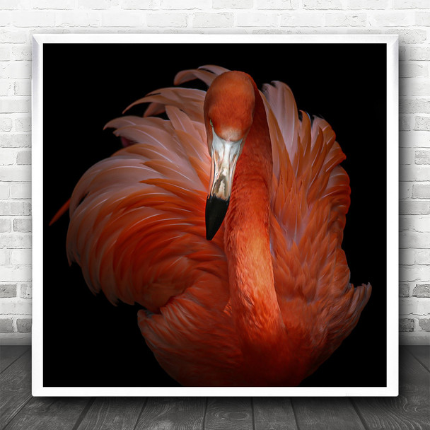 Flamingo Flamingos Red Pink Animal Animals Feather Feathers Bird Square Wall Art Print