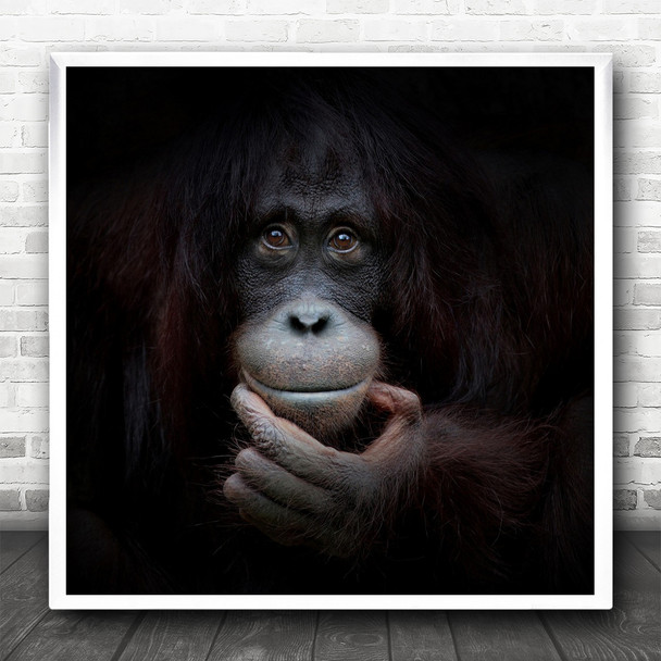 Smile Monkey Ape Glad Happy Joy Orangutang Face Animal Thinker Square Wall Art Print