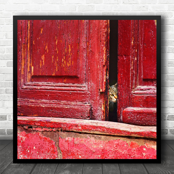 Vintage Animal Cat Retro Old Looking Red Door Conceptual Eyes Square Wall Art Print
