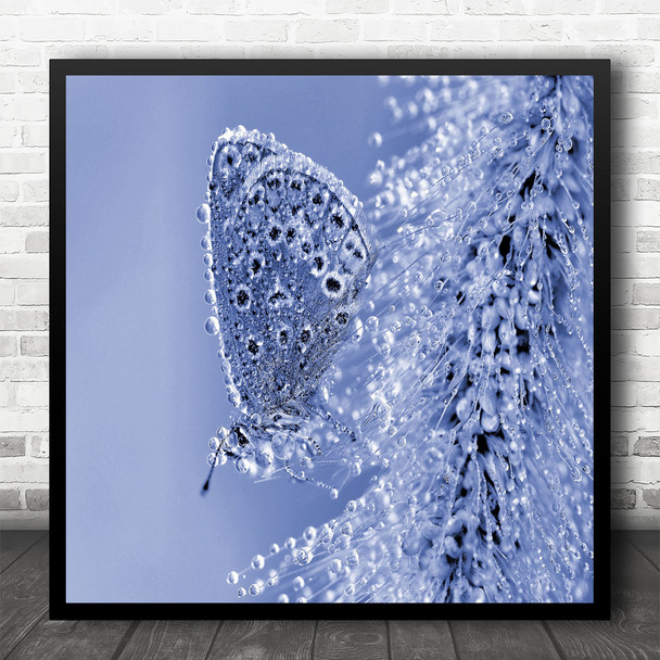 Insect Butterfly Dew Drops Blue Toned Butterfly's Water Bokeh Square Wall Art Print