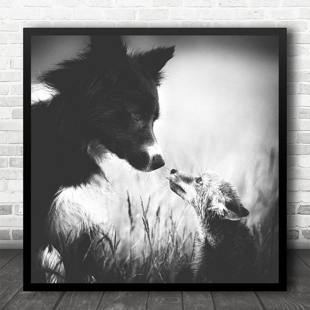 Fox Dog Animal Meet Meeting Cute Dogs Pet Pets Contact Square Wall Art Print