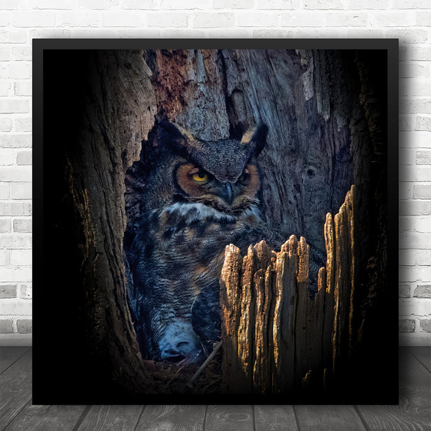 Owl Wildlife Wild Nature Animal Bird Hide And Seek Square Wall Art Print