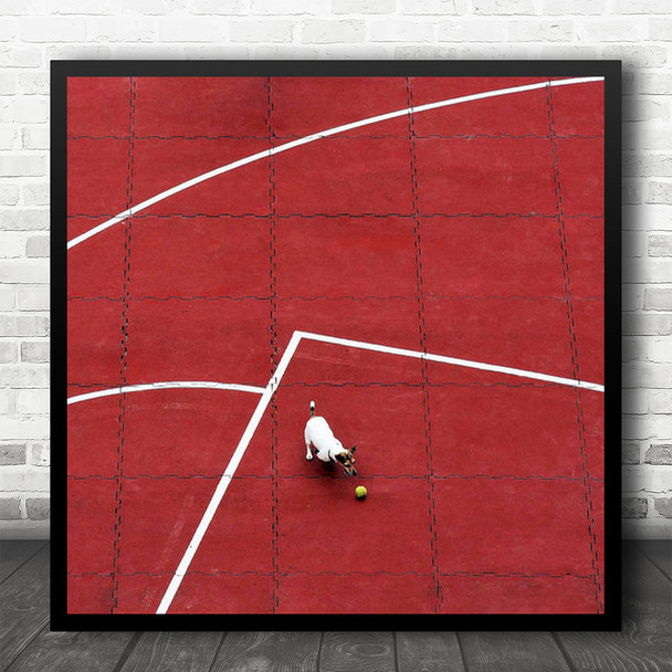 Dog Chasing Ball Red Floor Square Wall Art Print