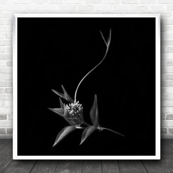 Leaves Kathmandu Nepal Blossom Garden Dark Low-Key Macro Flower Square Wall Art Print