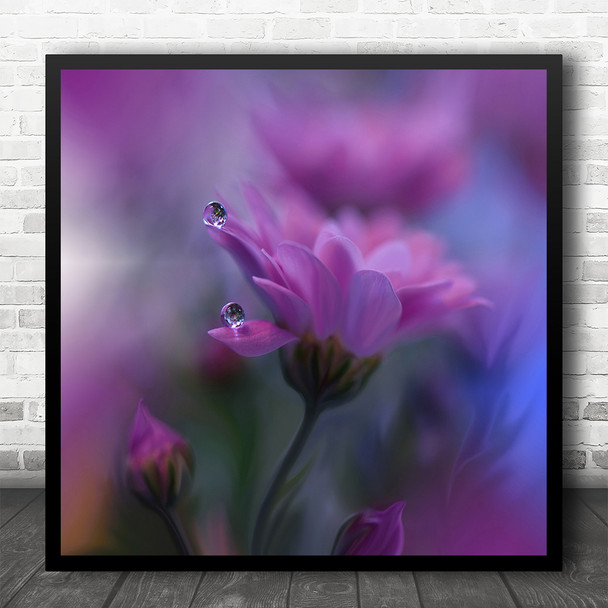 Macro Closeup Drop Water Flower Flowers Pink Soft Bokeh Gentle Square Wall Art Print