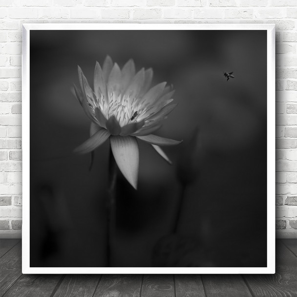 Lotus Flower Bee Macro Flowers Floral Insect Insects Bug Bugs Square Wall Art Print