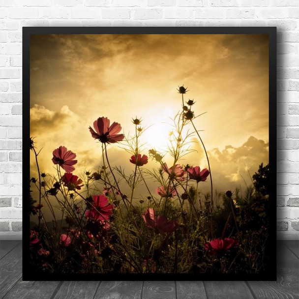 Flower Field Sun Red Landscape Flora Floral Meadow Sunset Sky Square Wall Art Print