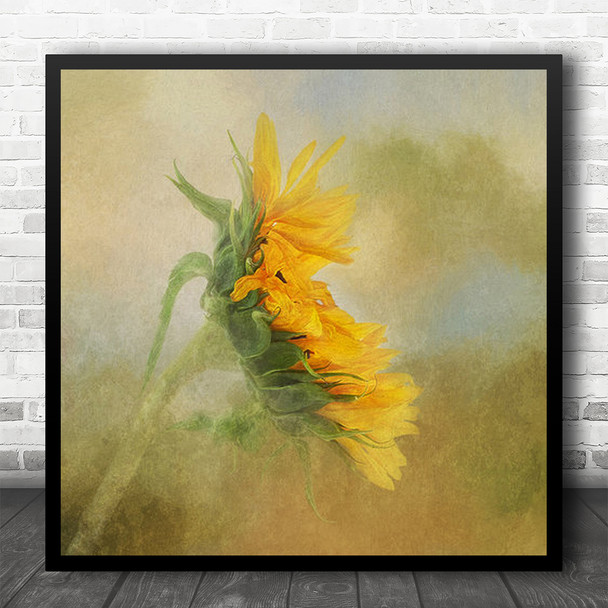 Painterly Texture Filter Painting Still Life Sunflower Square Wall Art Print