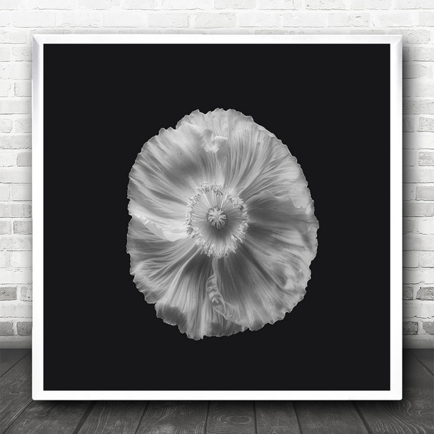 Poppy In Mono Flower Face Square Wall Art Print