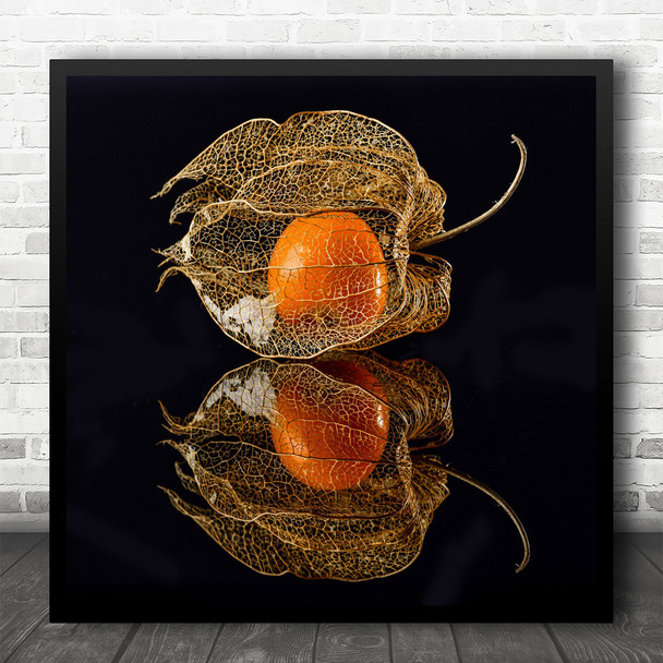 Physalis Reflection Macro Low-Key Fruit Vegetable Still Life Square Wall Art Print