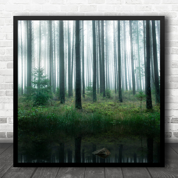 Forest Trees Lake Fog Mist Haze Morning Still Calm Serene Green Square Wall Art Print