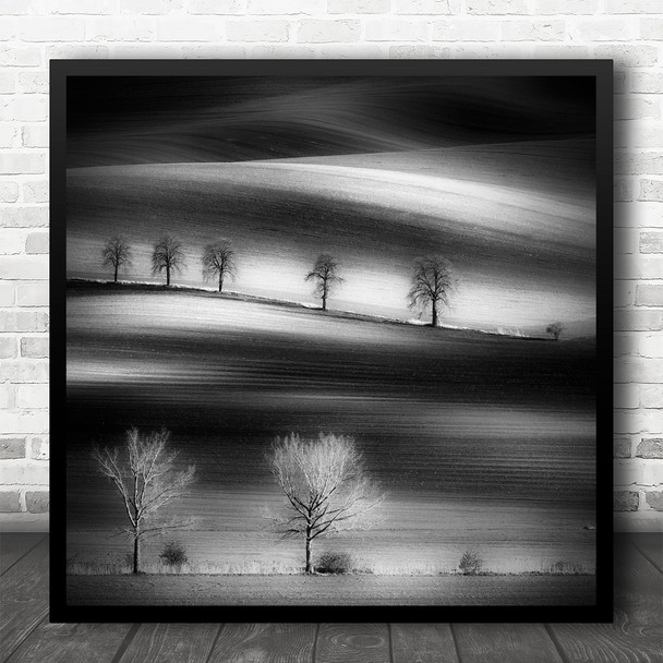 Landscape Tree Light Shadow Moravia Monochrome Field Trees Line Square Wall Art Print