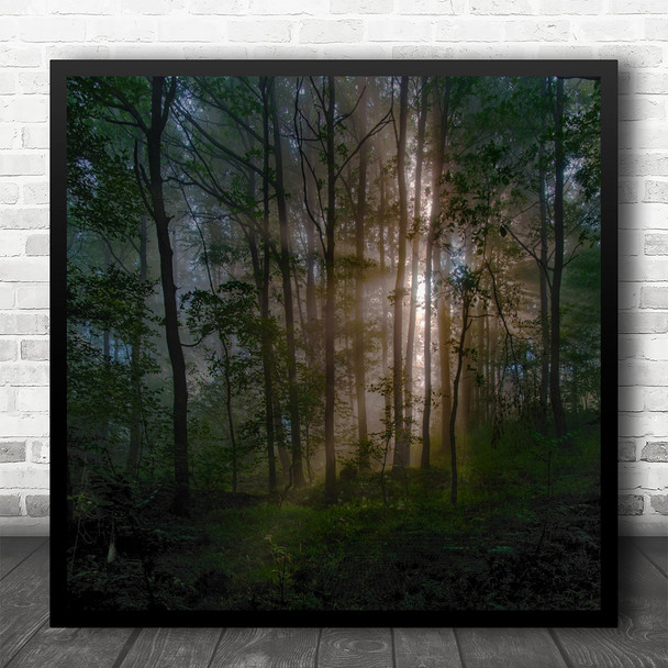 Light Sunrays Forest Woods Poland Landscape Trees Morning Dawn Square Wall Art Print