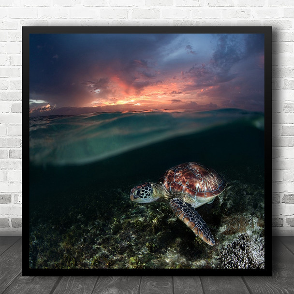 Sea Sunset Philippines Green Turtle Turtle Surface Underwater Square Wall Art Print