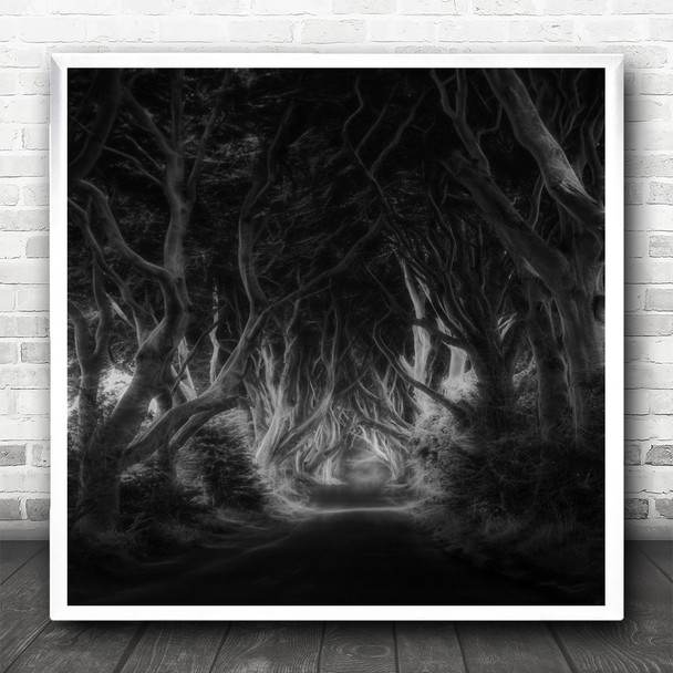 Ireland Hedges Landscape Bewitching Dark Forest Trees Path Square Wall Art Print