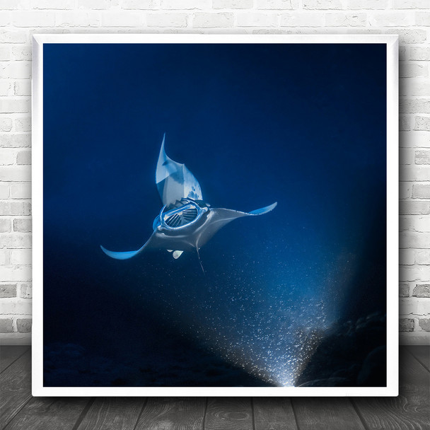 Manta Ray Underwater Blue Deep Ocean Sea Wildlife Wild Nature Square Art Print