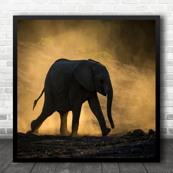 Elephant Wildlife Mammals Nature Silhouette Africa Sunset Square Wall Art Print